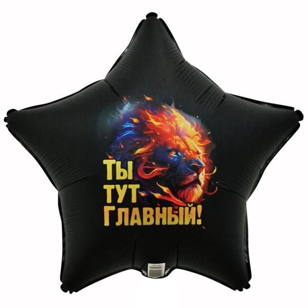 ТЫ ТУТ ГЛАВНЫЙ Лев 18"/46СМ