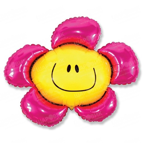 Цветок, Солнечная улыбка Фуше (41''/104 см)