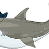 Акула Пират (повязка флибустьера) (36''/91 см) Falali